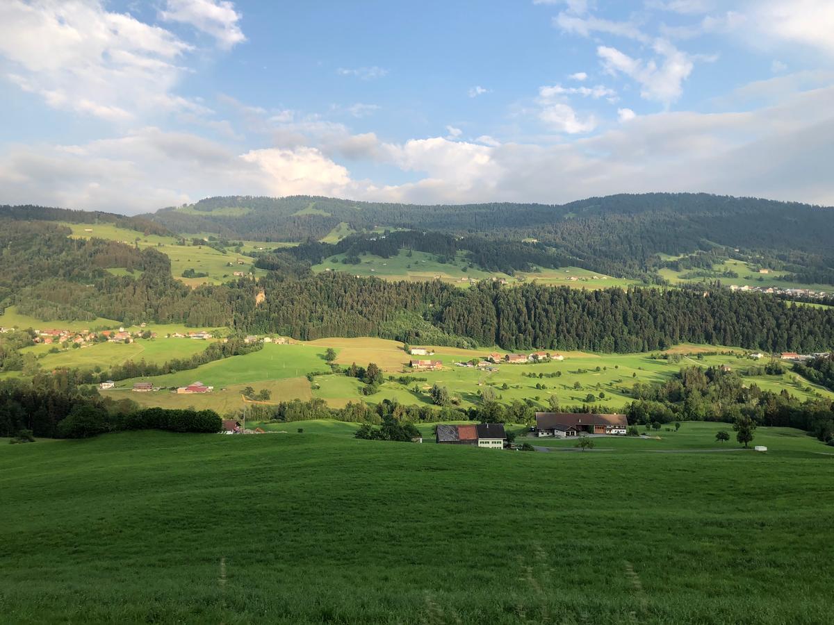 Allgau Landhotel Oberreute Exteriér fotografie
