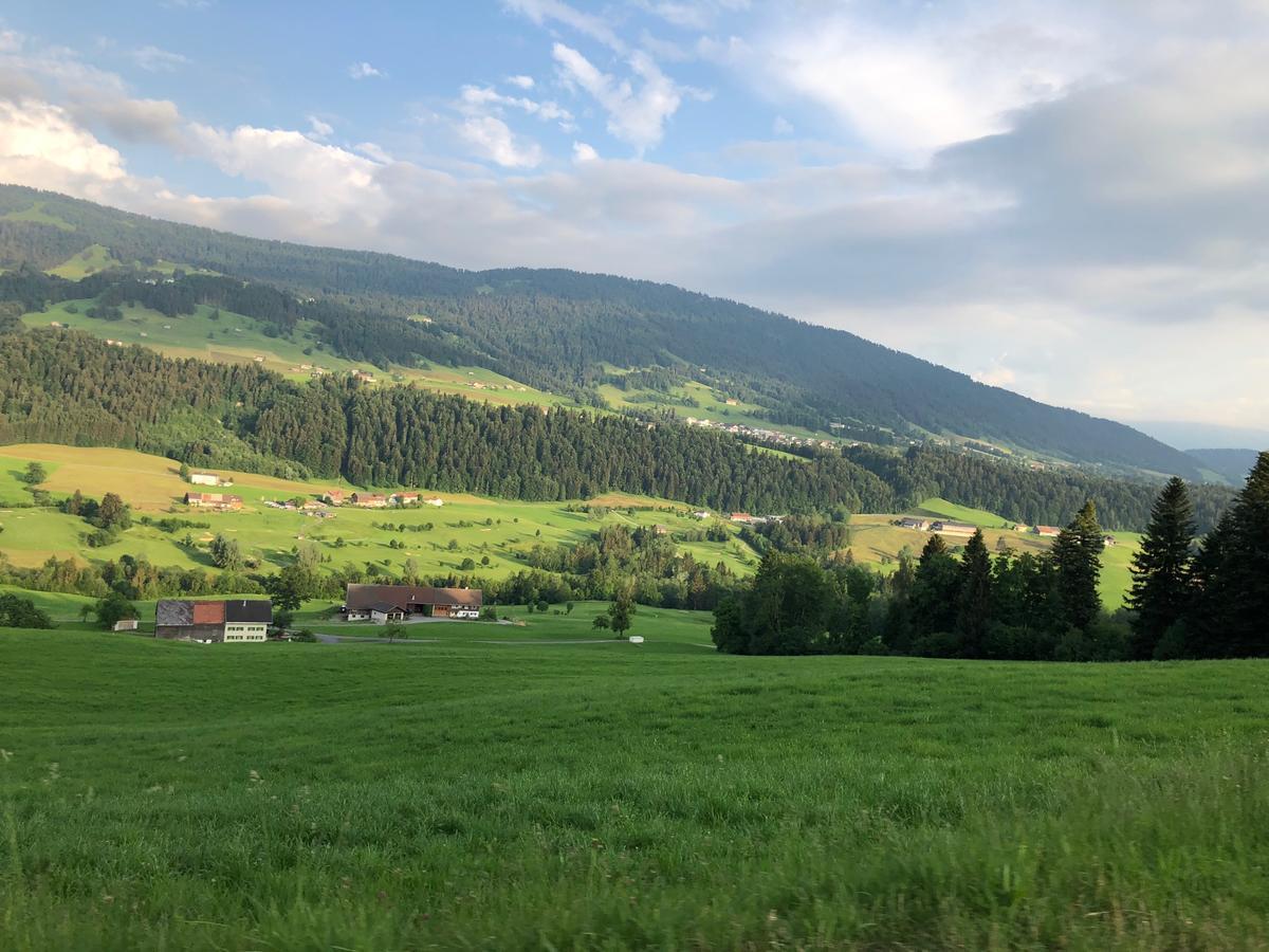 Allgau Landhotel Oberreute Exteriér fotografie