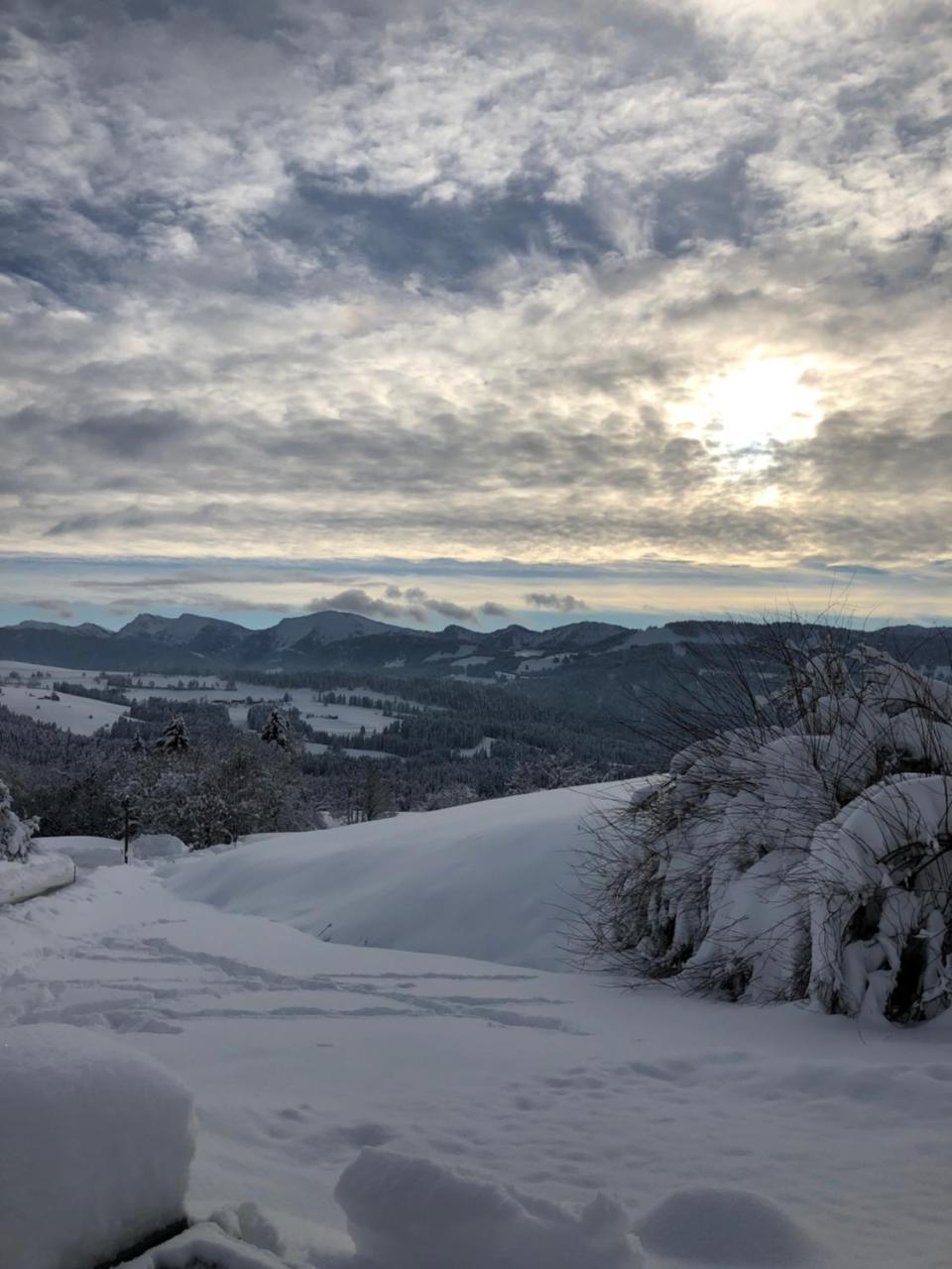 Allgau Landhotel Oberreute Exteriér fotografie