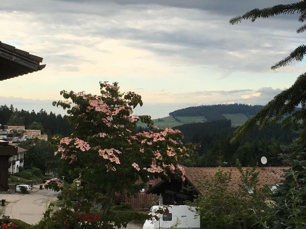 Allgau Landhotel Oberreute Exteriér fotografie